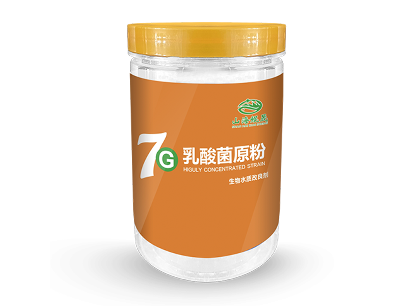 乳酸菌原粉.png